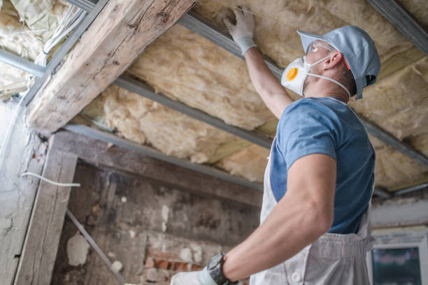 Best Insulation Installation Services in Sweetwater, TX